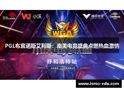 PGL布宜诺斯艾利斯：南美电竞盛典点燃热血激情