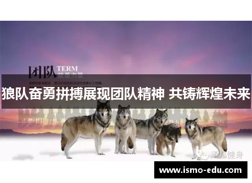狼队奋勇拼搏展现团队精神 共铸辉煌未来