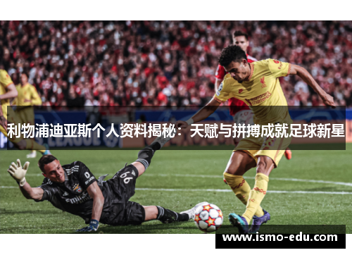 利物浦迪亚斯个人资料揭秘：天赋与拼搏成就足球新星